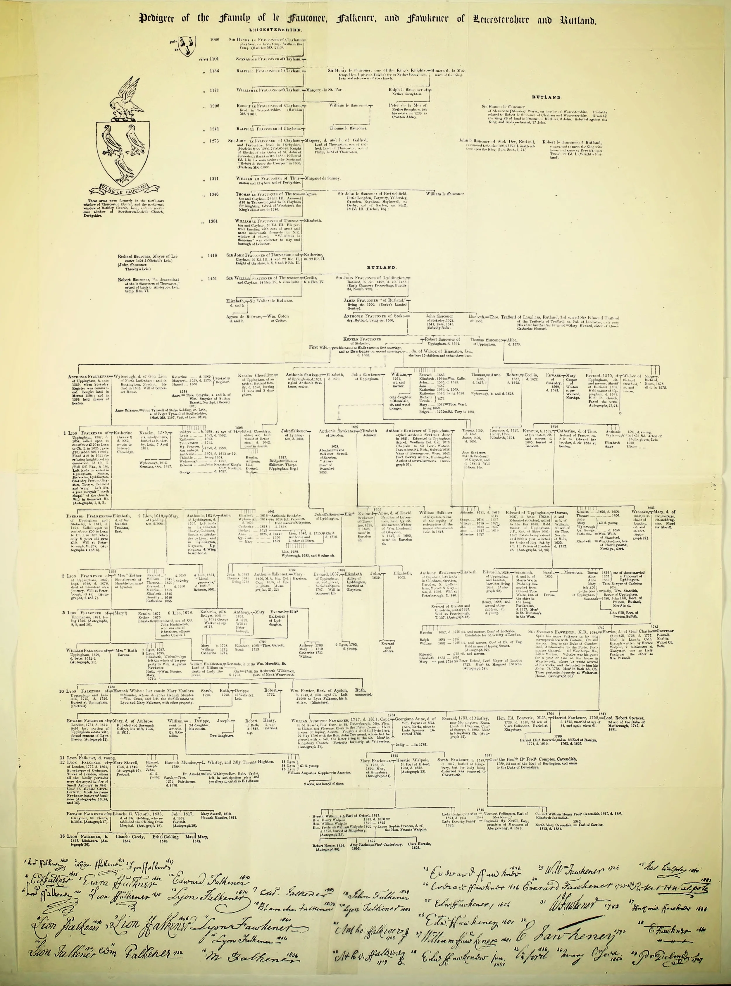 tree-pedigree.jpg