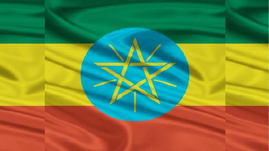 Ethiopia govt starts formal talks with exiled opposition group ODF