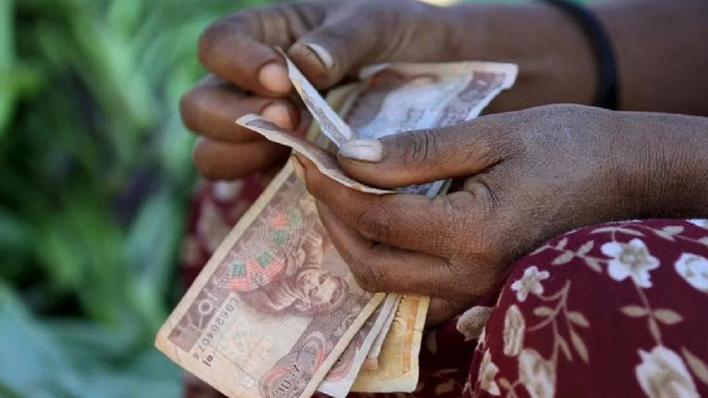 Ethiopia PM asks diaspora to save 'a dollar a day' to support development projects