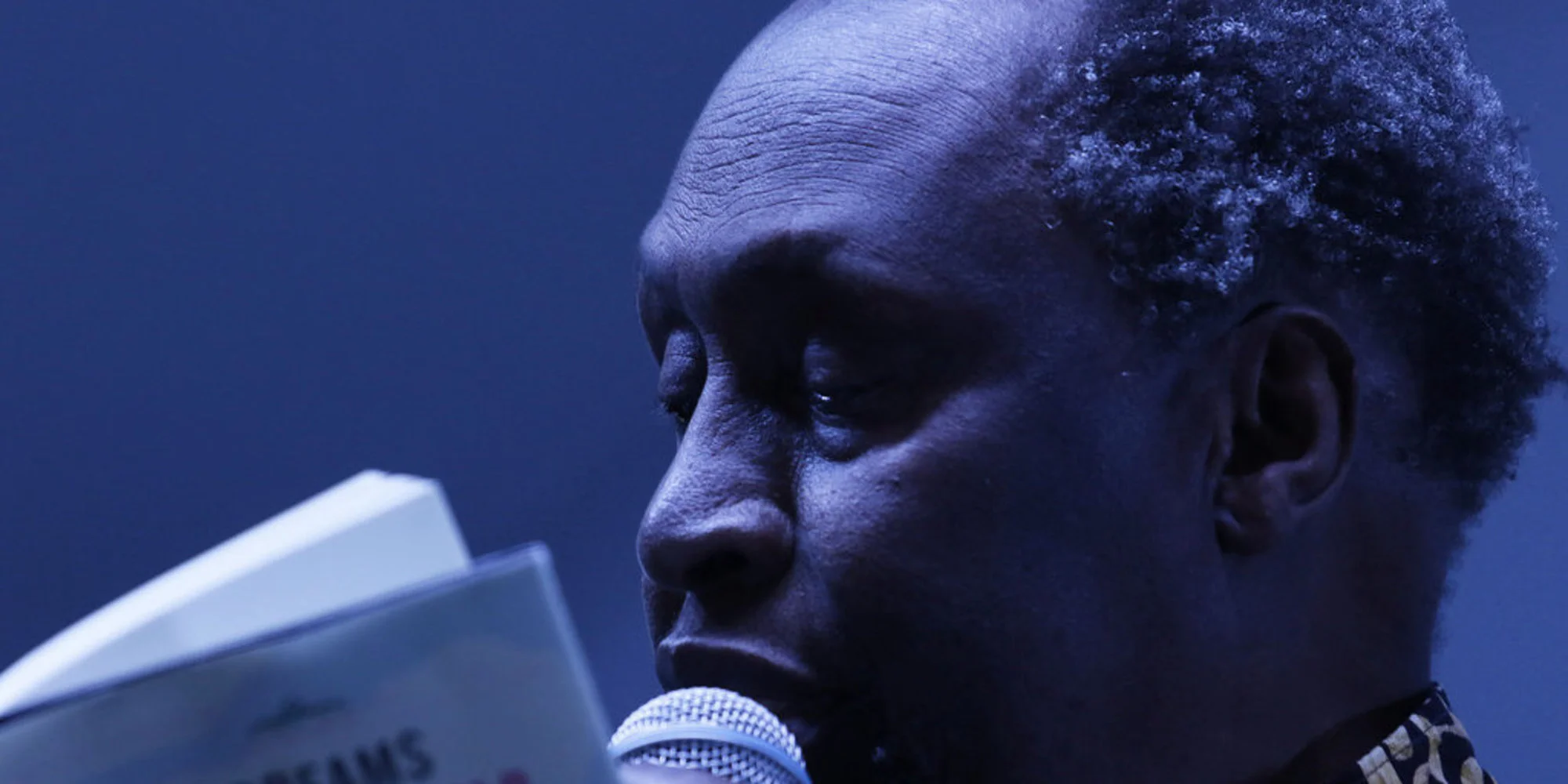How to Vote for the African Writers Longlisted for the Alternative Nobel Literature Prize