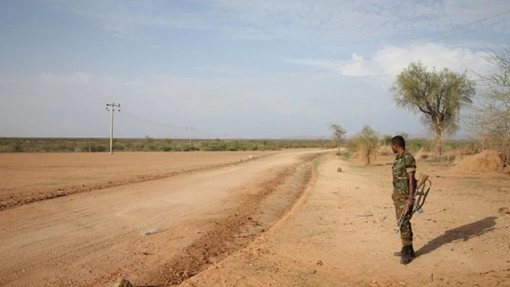 Eritrean press say its troops have withdrawn from Ethiopia border