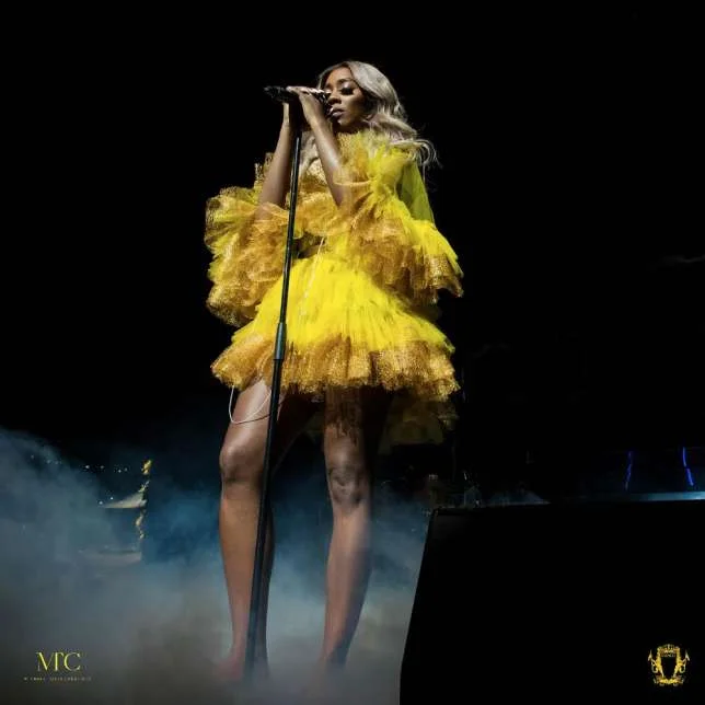 Singer pays homage to African icons in style for #TheSavageTour