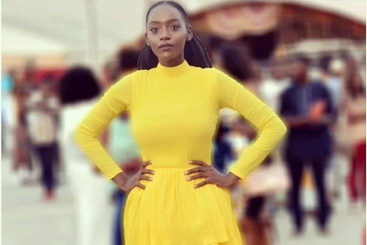 Dapo Desina Atelier drops vibrant holiday collection 'Star'