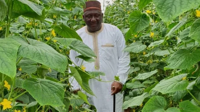 Letter from Africa: Nigeria's farmer king