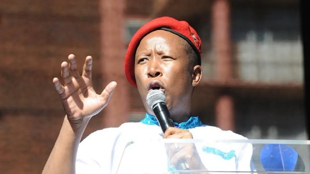 Stop attacks on fellow Africans – Malema slams South Africa xenophobes