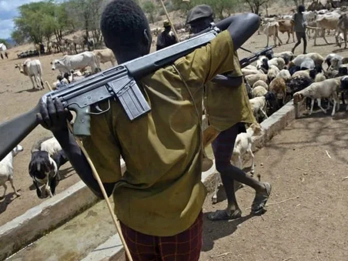 Suspected herdsmen kill six farmers, injure many in Anambra