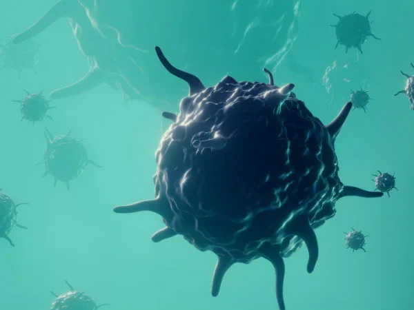 Diseases cost Africa $2.4 trillion a year, says WHO