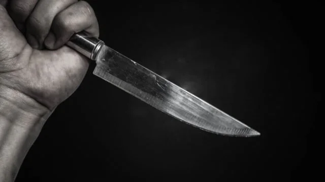 A man is arrested and jailed&nbsp;after allegedly stabbing his girlfriend multiple times.