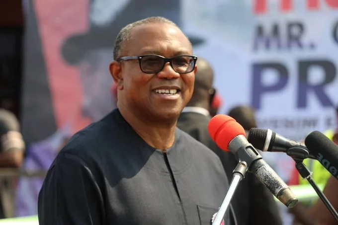 I prefer younger running mate – Peter Obi