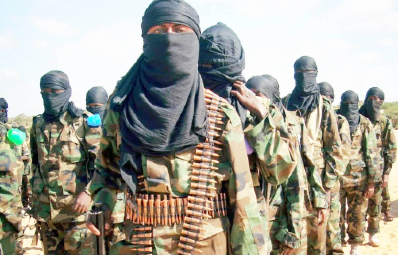 Terrorists threaten polls in 40 Kaduna, Zamfara, Imo, others’ LGs