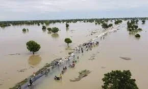 Flood displaces Nigerians as Cameroon opens dams&nbsp;