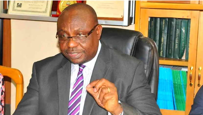 Election postponement may lead to constitutional challenges — INEC commissioner, Okoye