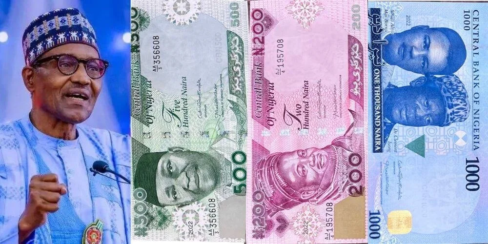 Buhari unveils new Naira notes