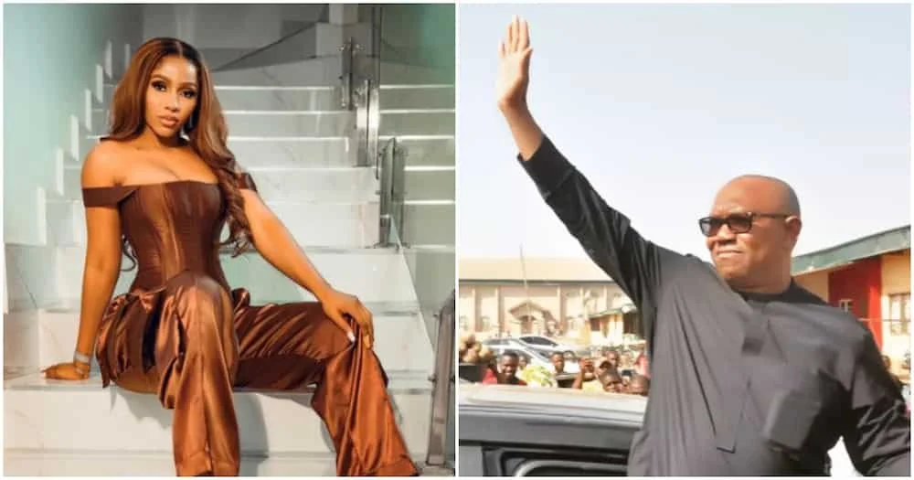 ‘I dreamt Peter Obi won’ – BBNaija &nbsp;Mercy Eke