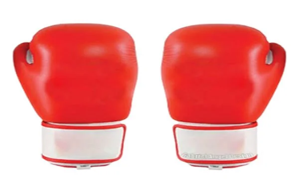 NSF: Imo boxer dies inside ring