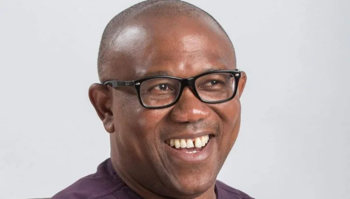 Minimum wage can be N80,000 under Obi -LP&nbsp;