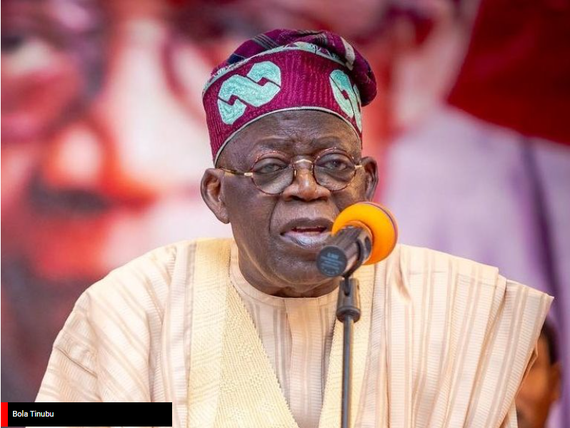 No health issue can stop Tinubu —PCC member