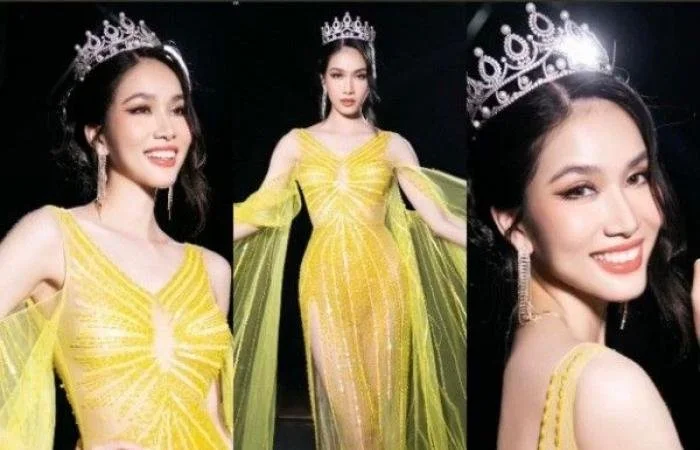 Miss Vietnam organizers were forced to apologize over the contestant's see-through gown