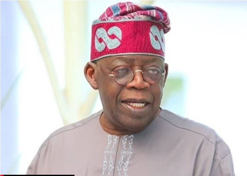 Why APC chieftains aren’t campaigning for Tinubu —Momodu 