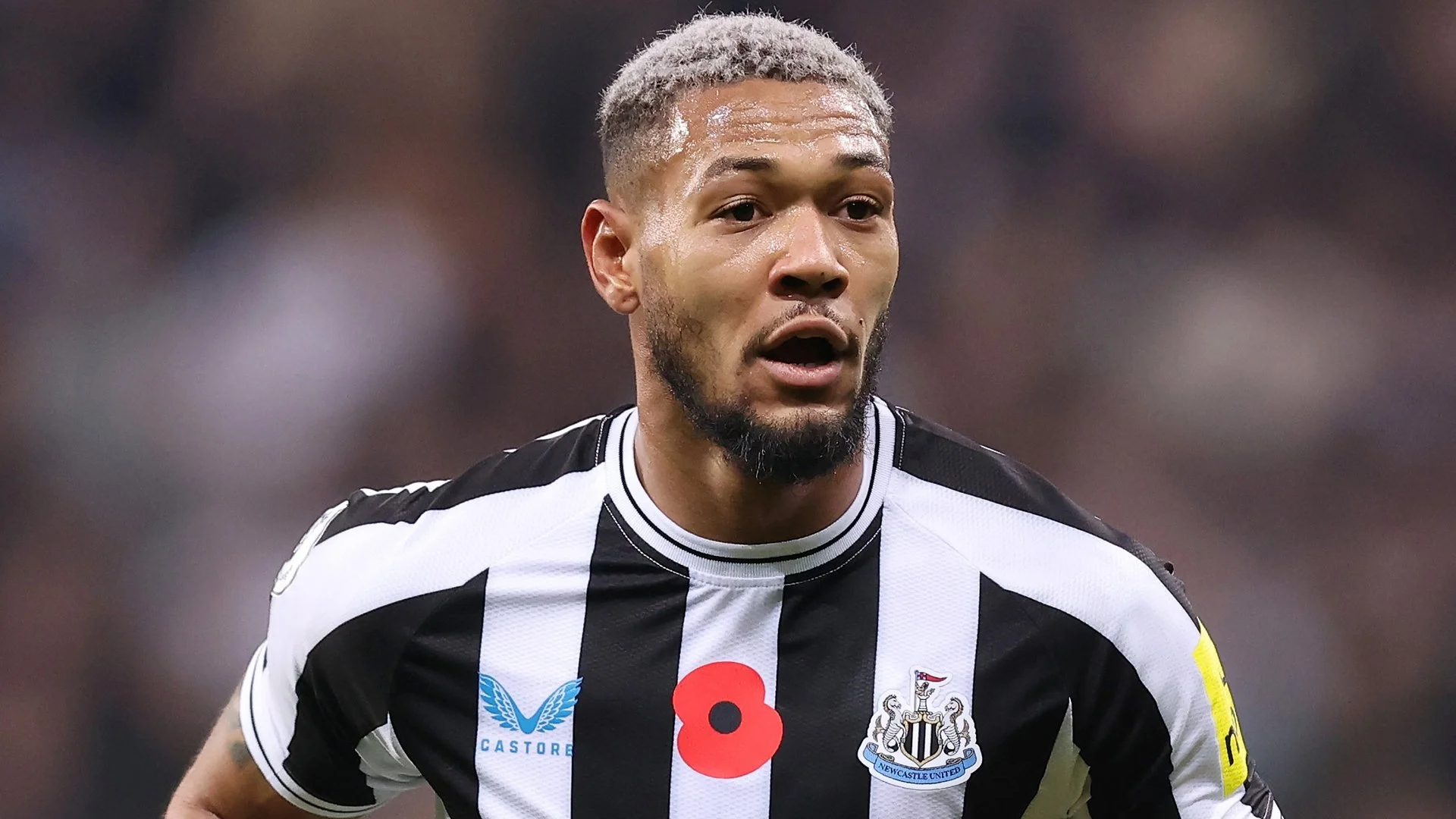 Newcastle’s Joelinton fined £29,000 on drink-driving charge with 12-month driving ban