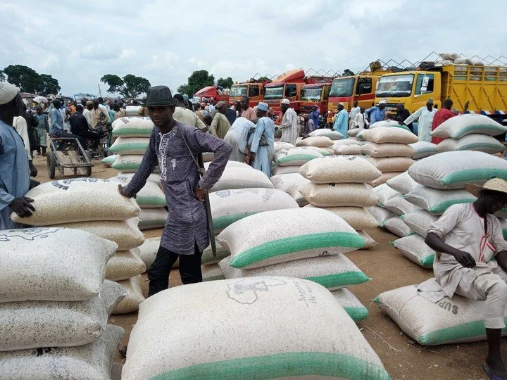 Katsina Government's Noble Initiative: Providing Relief Amid Rising Food Prices