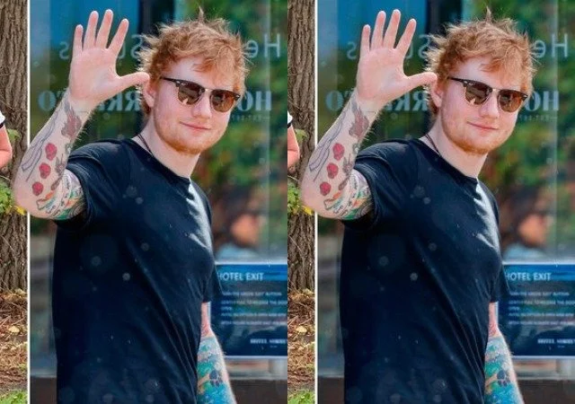 Ed Sheeran challenges artists who profess indifference towards success