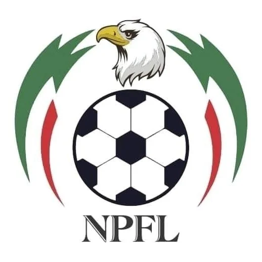 NPFL: Referees to use communication gadgets next season