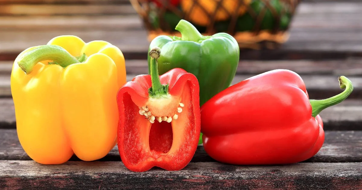 5 Important Health Benefits of Bell Peppers 