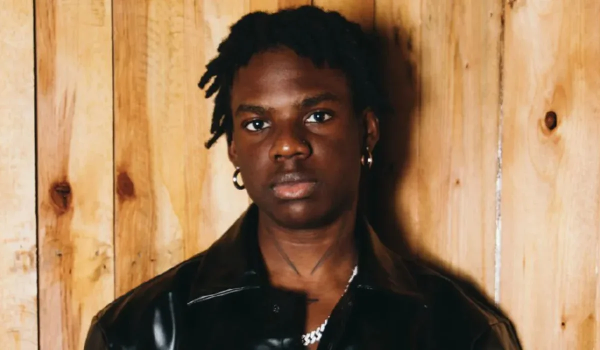Hardship: 'It's not about giving them rice,' Rema tells Nigerian lawmakers