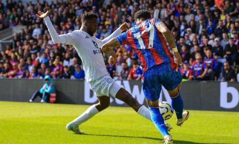 Leicester unlucky against Palace – Ndidi