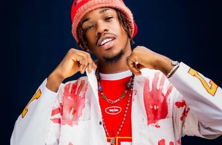 Working with Davido defining moment of my career— Boypee