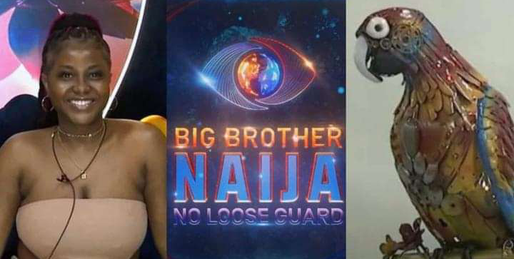 BBNaija: Viewer Calls For Eviction of Parrot For Refusing to Talk