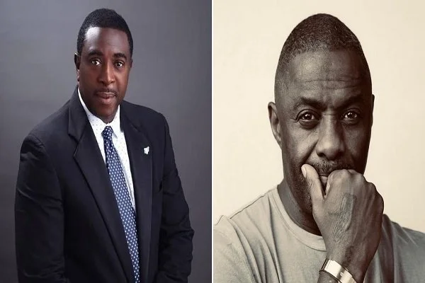 We have better performers - Bob-Manuel Udokwu on Idris Elba playing the lead in 'Things Fall Apart' TV adaptation