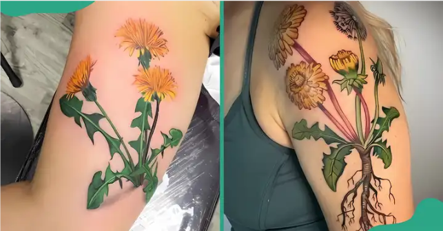 45 stunning dandelion tattoo ideas to blow away the ordinary 