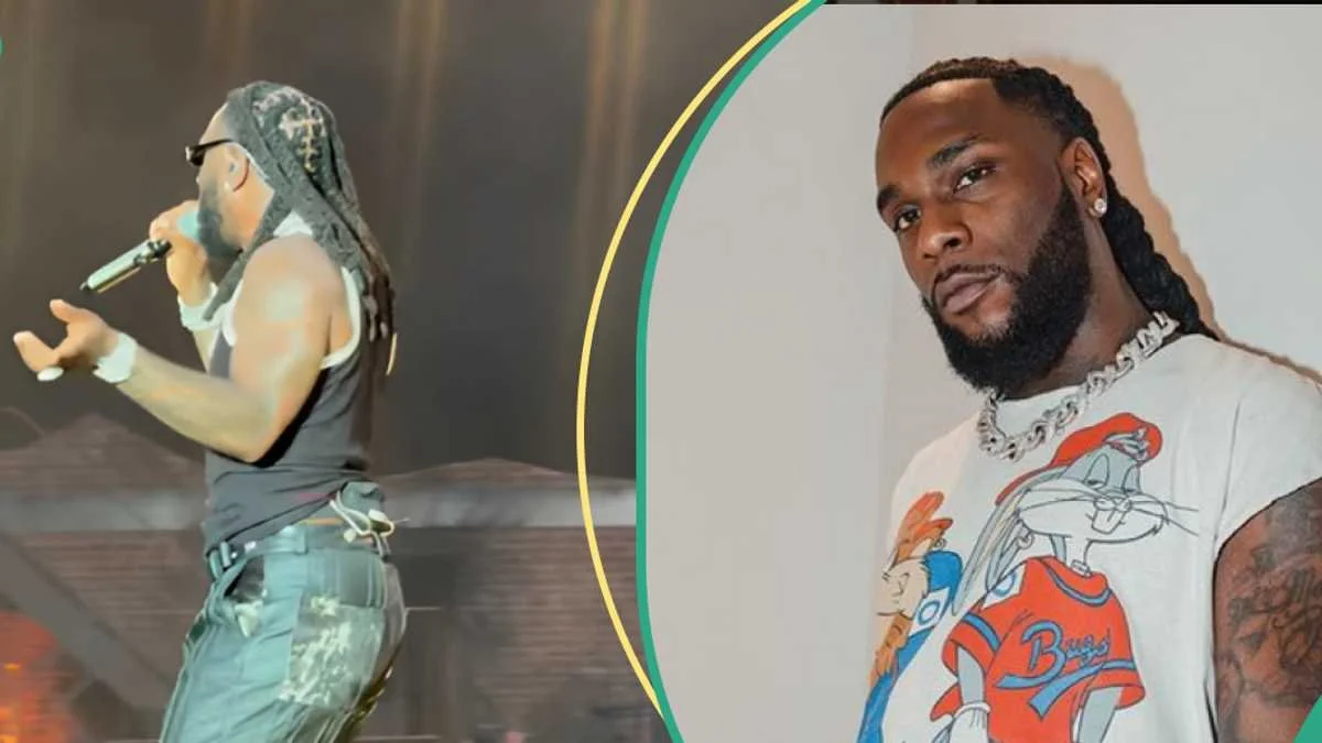 Burna Boy “Catwalks” on Stage, People Express Worry over His Gesture: “Was Akpi Right?