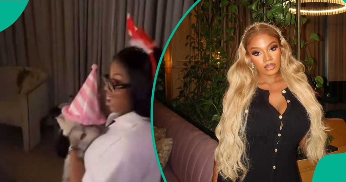 Nigerian Lady Hosts Lavish Birthday Party for Her Cat, Sparks Mixed Reactions