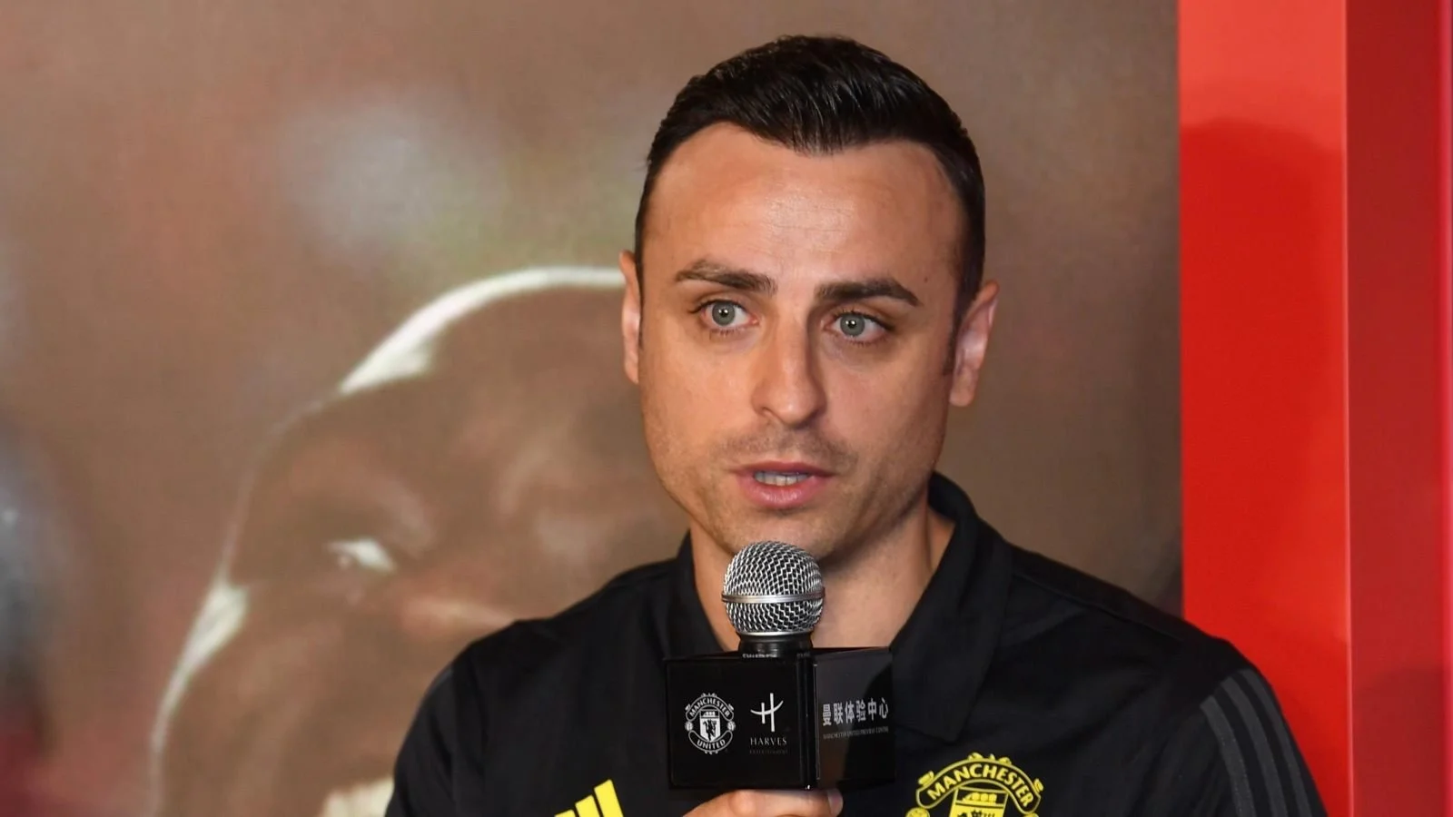 Berbatov: Zirkzee and Hojlund ‘Lost’ Under Amorim’s System