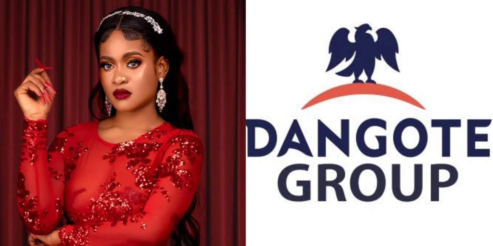 Dangote Group Steps In To Support Phyna’s Sister’s Medical Treatment Abroad