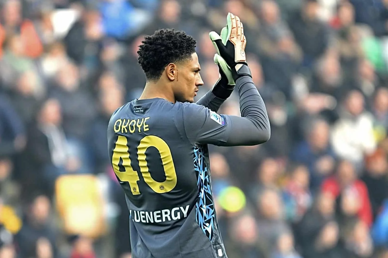 Udinese Director Hails Maduka Okoye: “It’s Almost Impossible to Score Against Him”