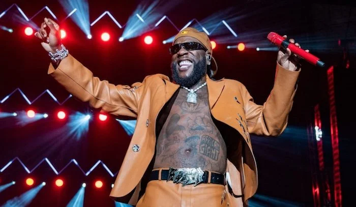 Burna Boy Cancels Minneapolis and Chicago Tour Stops Amid Backlash