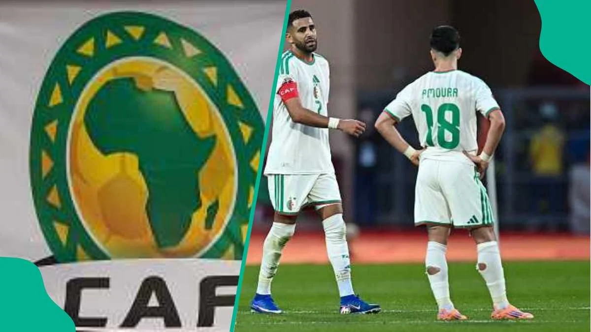 CAF Sanctions Algeria Over AFCON Quarter-Final Fallout Against Nigeria