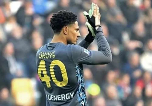 Maduka Okoye Explains AFCON Absence, Prioritised Club Form Over Tournament Call-Up