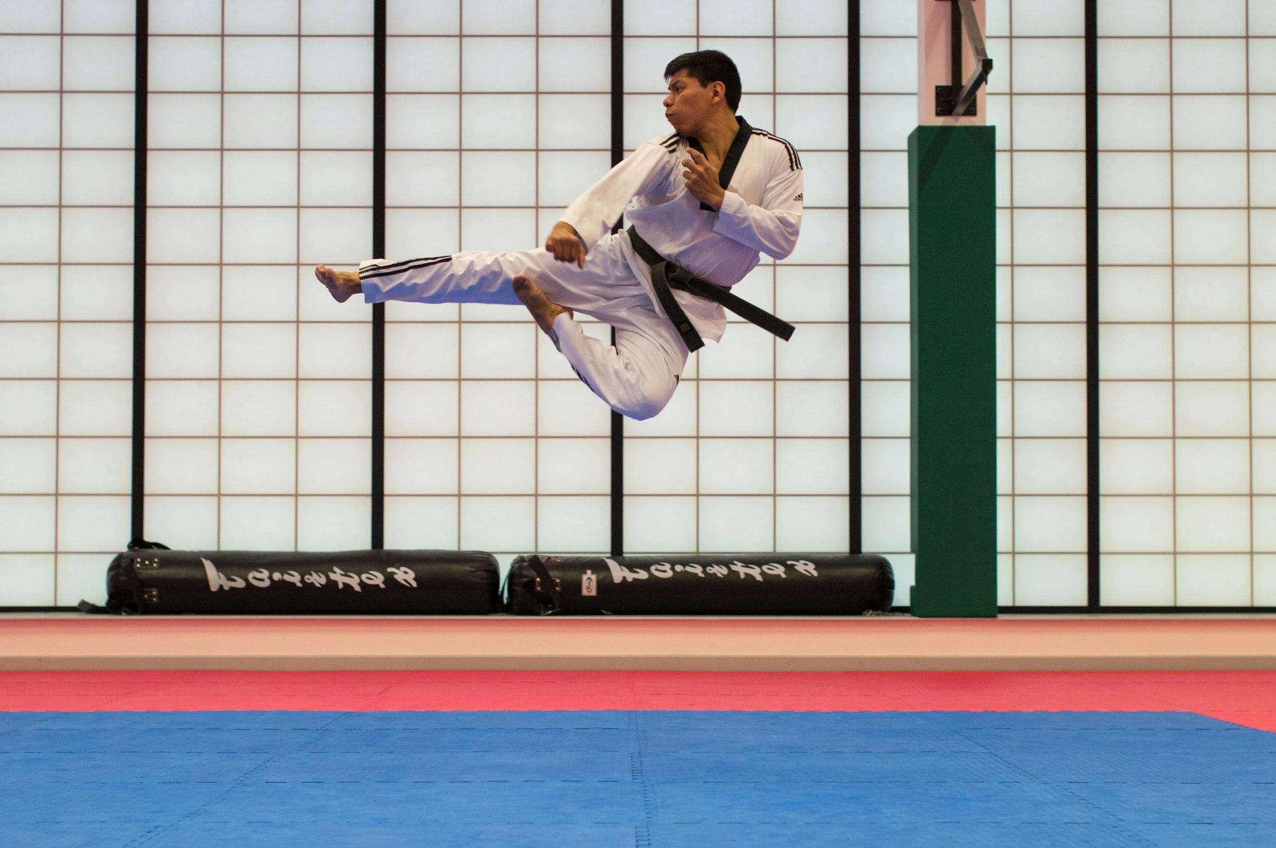 A League, Six Committees and a Reinstated Director: Nigerian Karate's Board Rebuilds in One Sitting