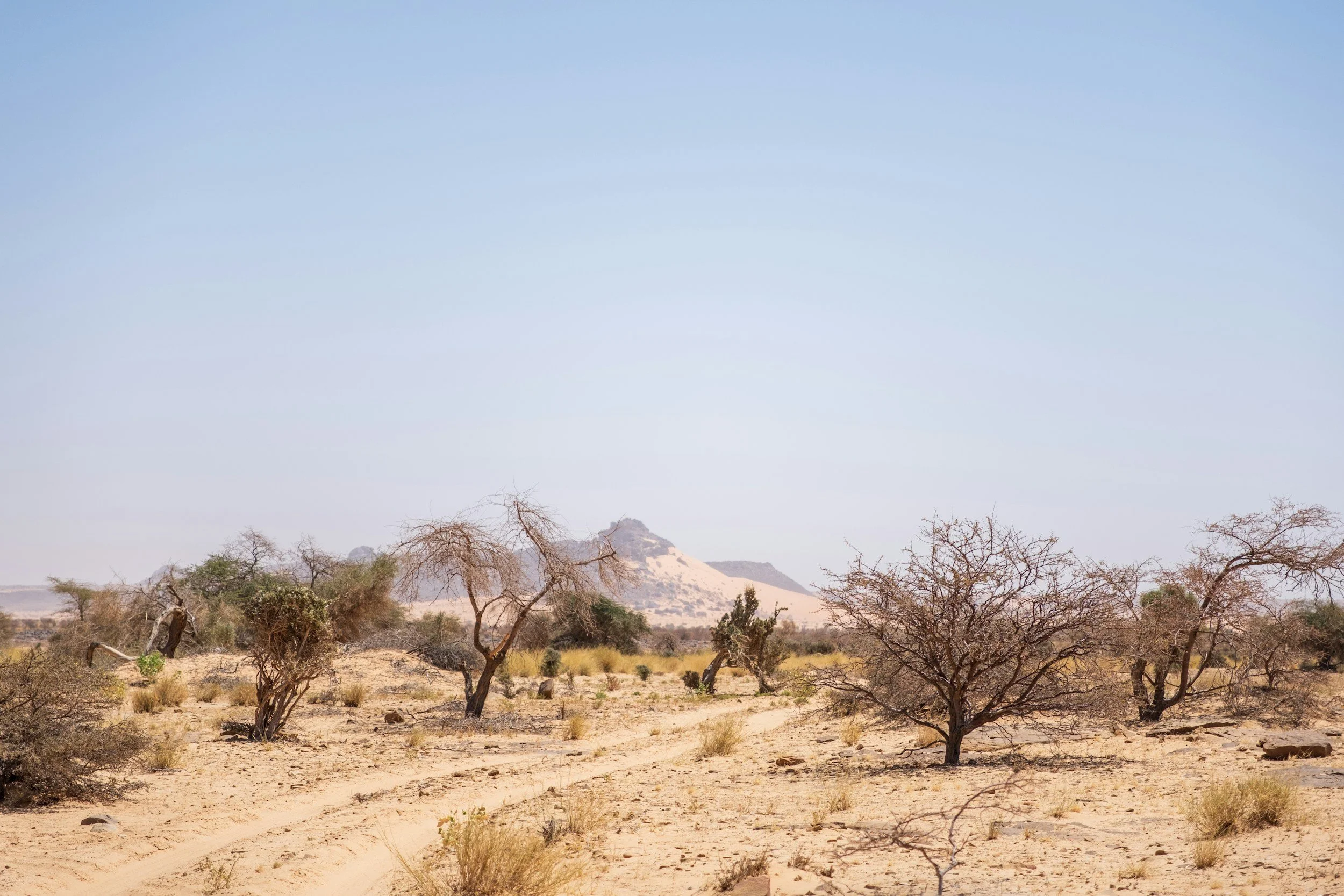 445 Casualties In Fourteen Days, And Where They Happened