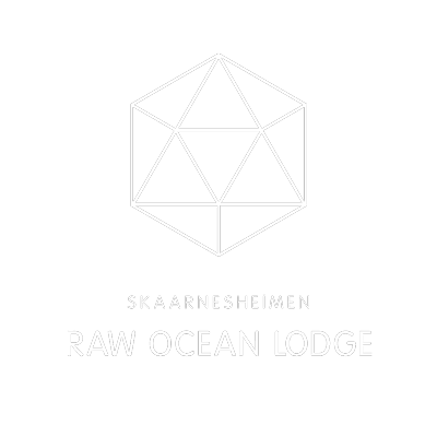 Logo-RAW-OCEAN-LODGE-gjennomsiktig.png