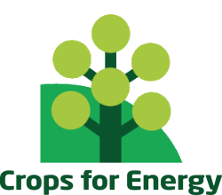 Logo of Crops for Energy featuring a stylized green tree with circular leaves.