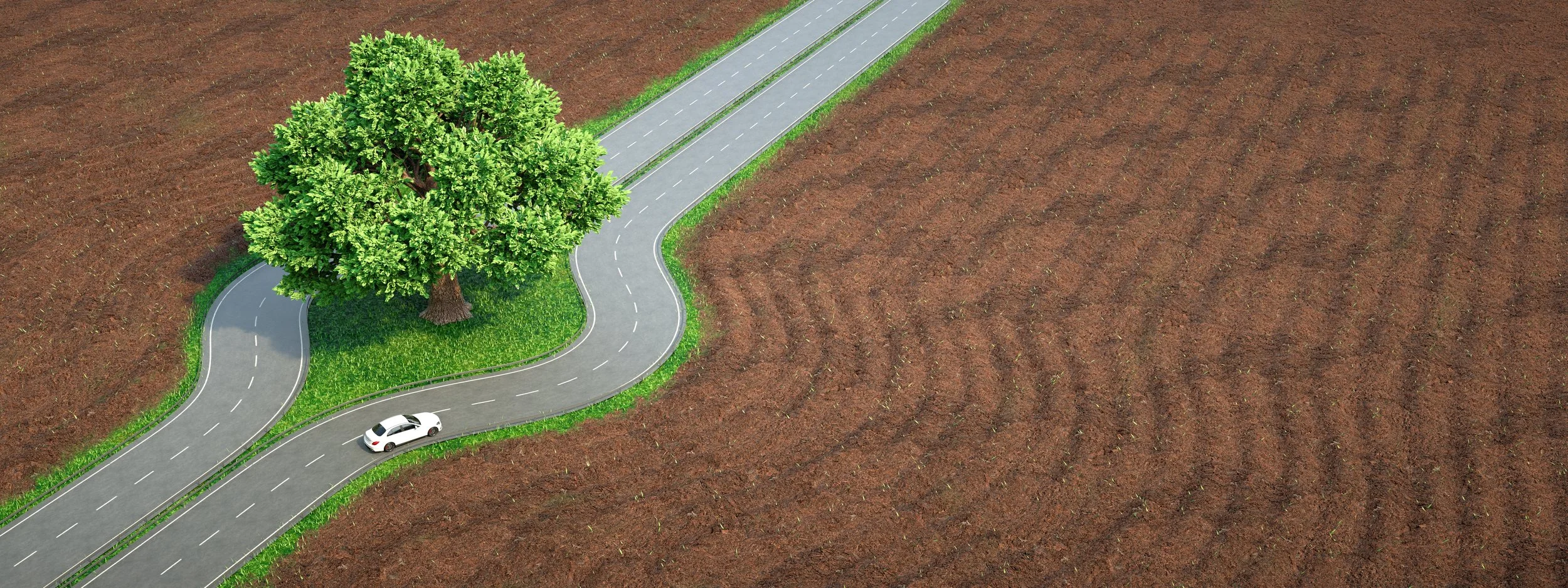 Biocomposites: Functional, Sustainable, and Innovation-Driven Materials for the Future