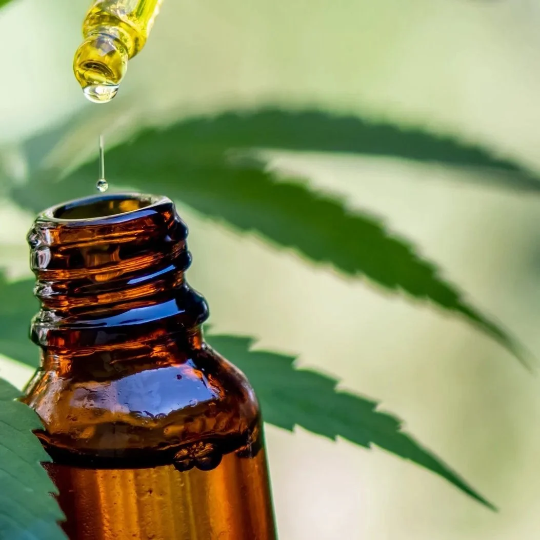 CBD in the UK: Why the Market Is Growing But UK Farmers Aren’t Benefiting