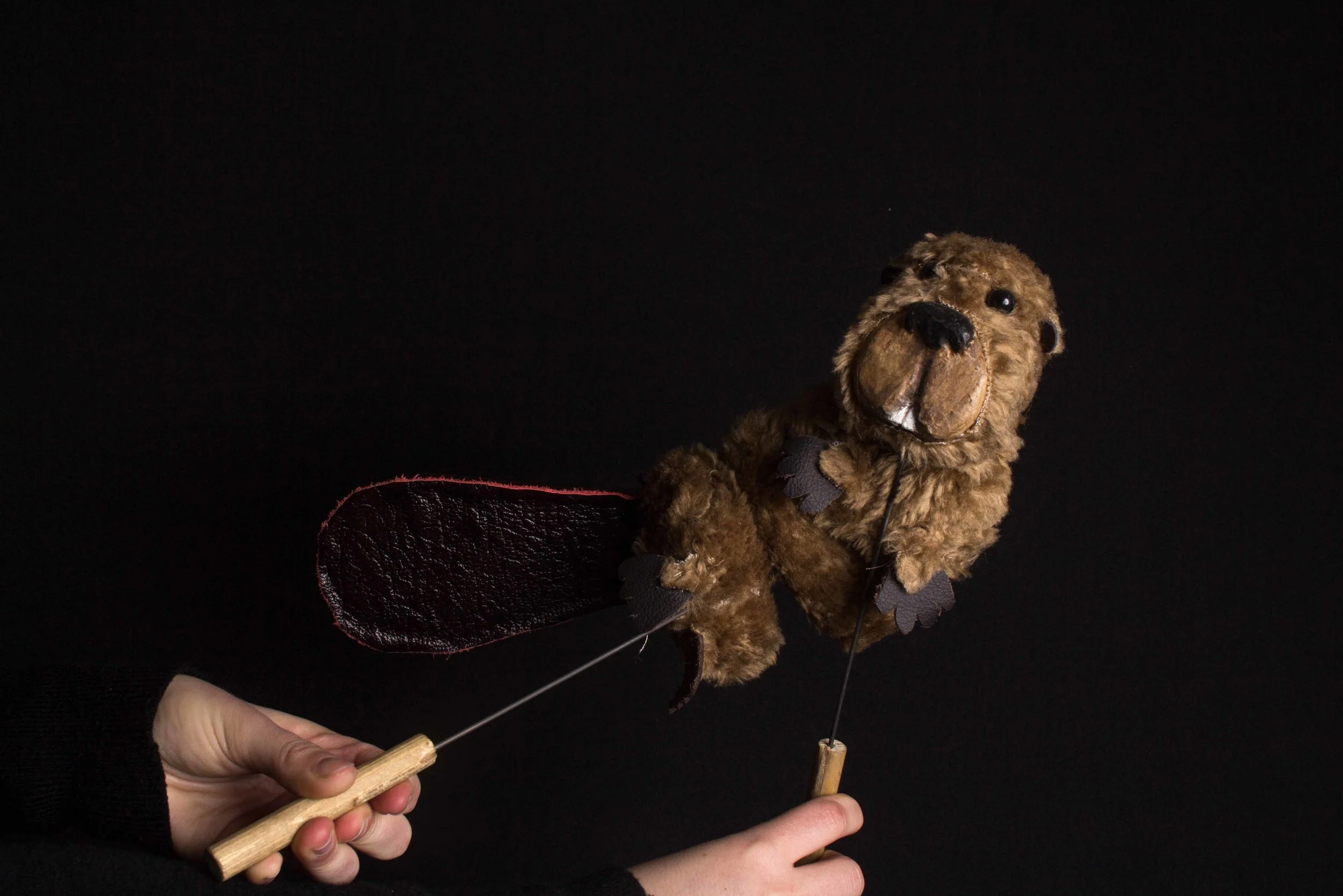 The Flying Beaver — Jo Elizabeth May