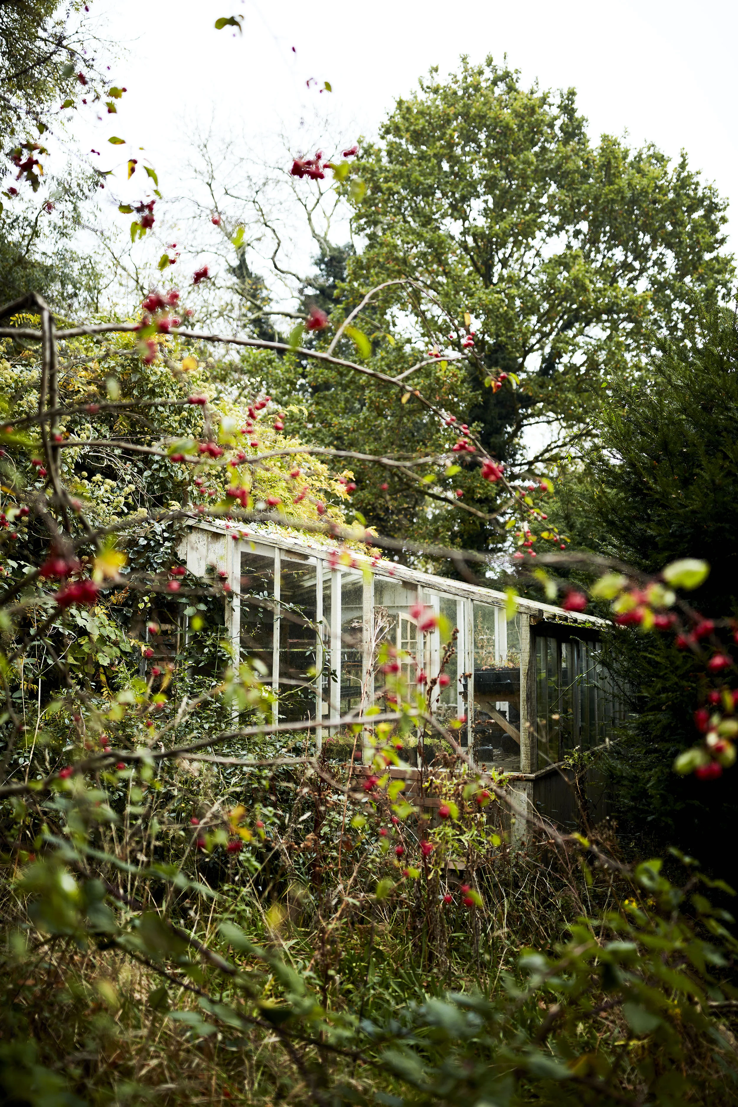 Peasenhall-62.jpg